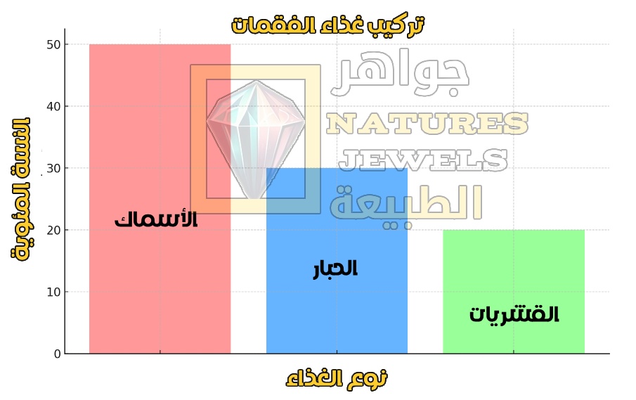 النظام الغذائي والصيد للفقمة