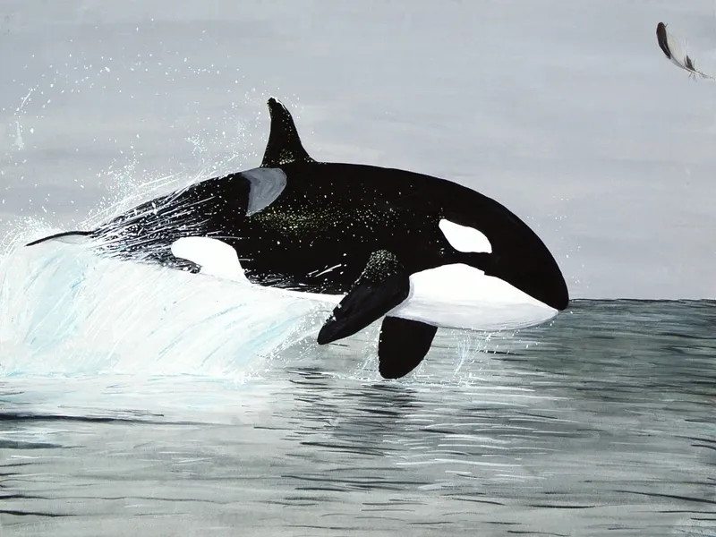الحوت القاتل: رمز للقوة والجمال والتحديات في عالم البحار